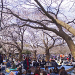 Почему вам не понравится в Японии