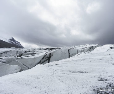 Отзыв об экскурсии на ледник Ватнайёкюдль