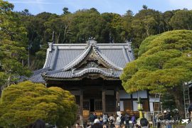 Куда стоит съездить из Токио на один день