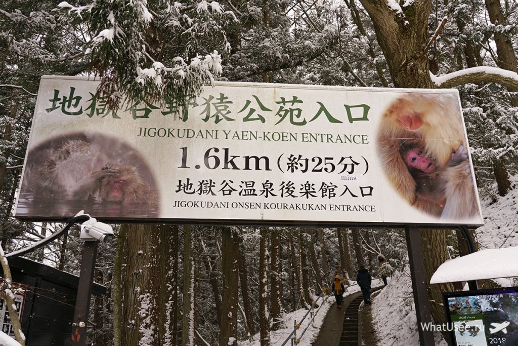 Парк обезьян Jigokudani monkey park