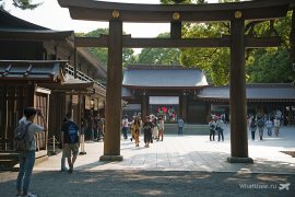 Что нужно для поездки в Японию